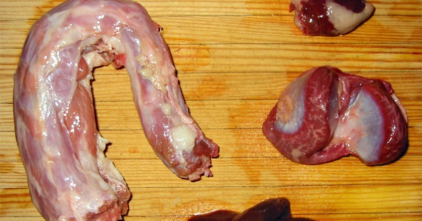 The Five of Us: Turkey Anatomy Lesson